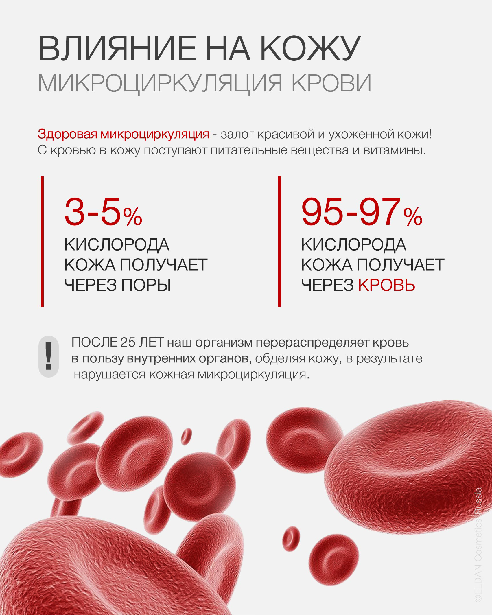 Пост микроциркуляция 2.jpg Пост микроциркуляция 2.jpg